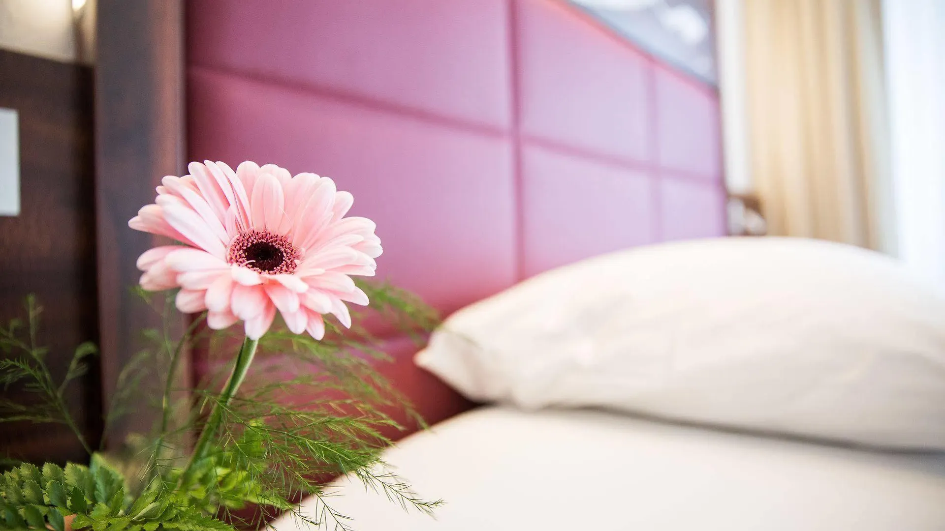 Hotel Scheuble Zurich